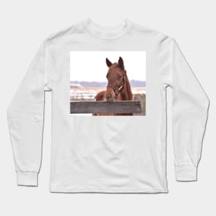 Skipshot filly Long Sleeve T-Shirt